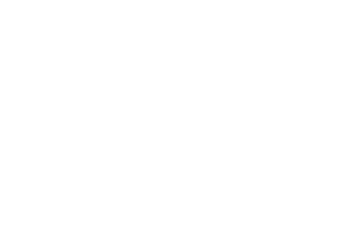 Prime RE Group - logo